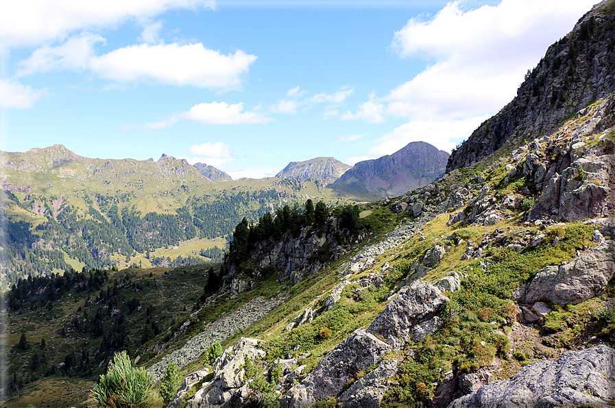 foto Forcella Pala del Becco